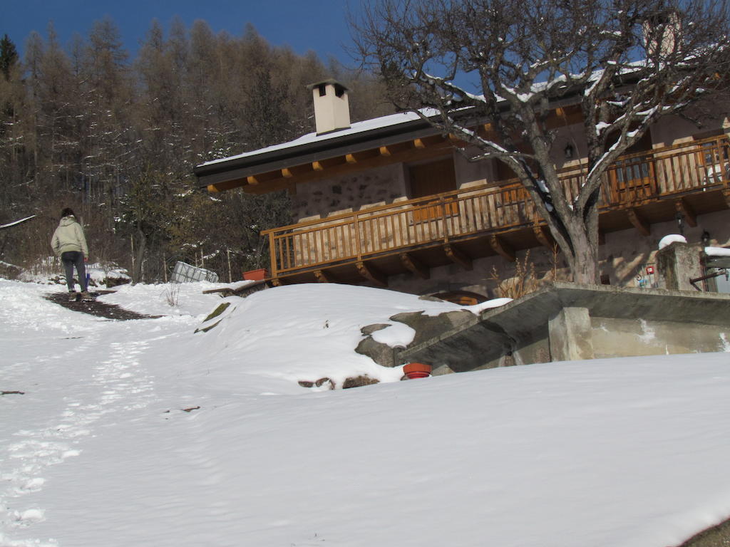 Agritur Maso Bornie Konuk evi Grauno Dış mekan fotoğraf